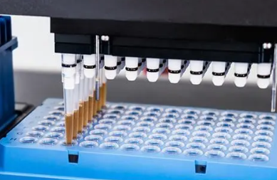 1631245724652190.png 2.png