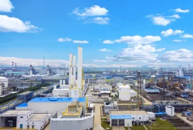 1633682293295829.jpg 3.jpg