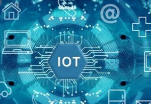 1634450549806789.jpg 3.jpg